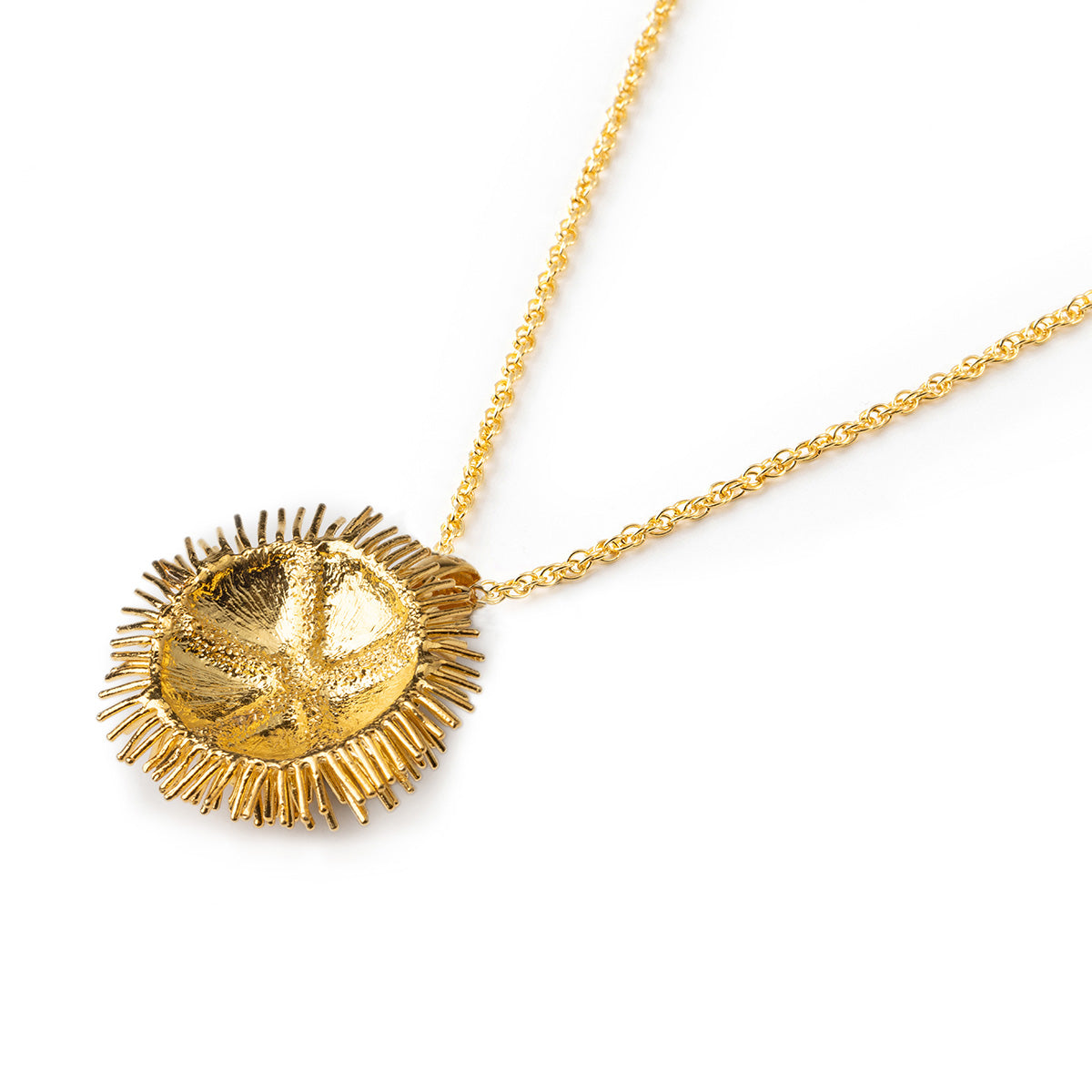 Pendente Riccio Acueli Gold