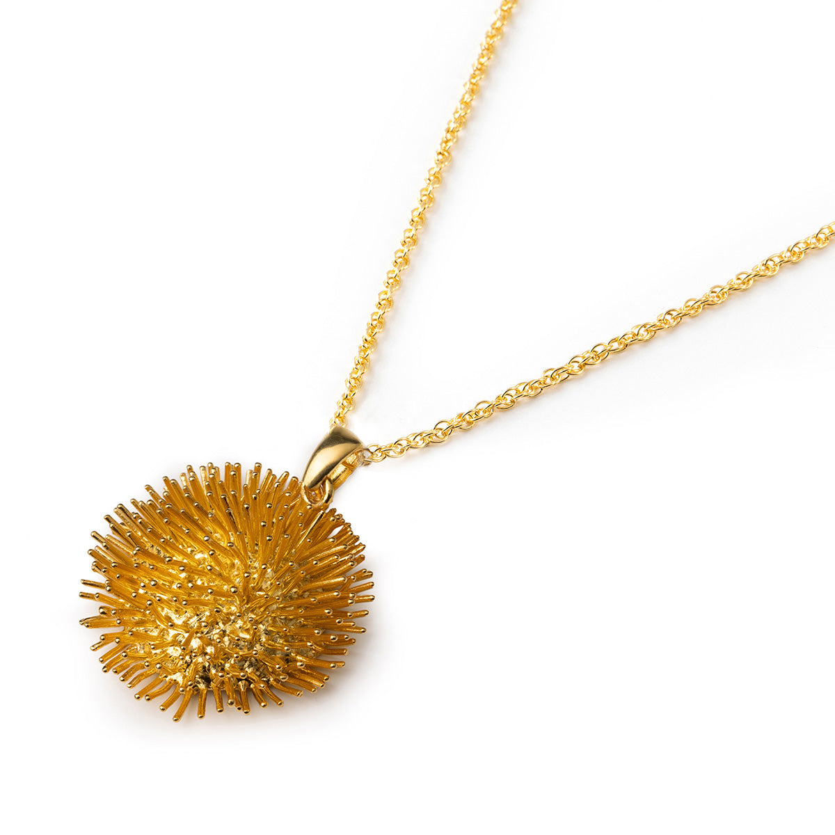 Pendente Riccio Acueli Gold