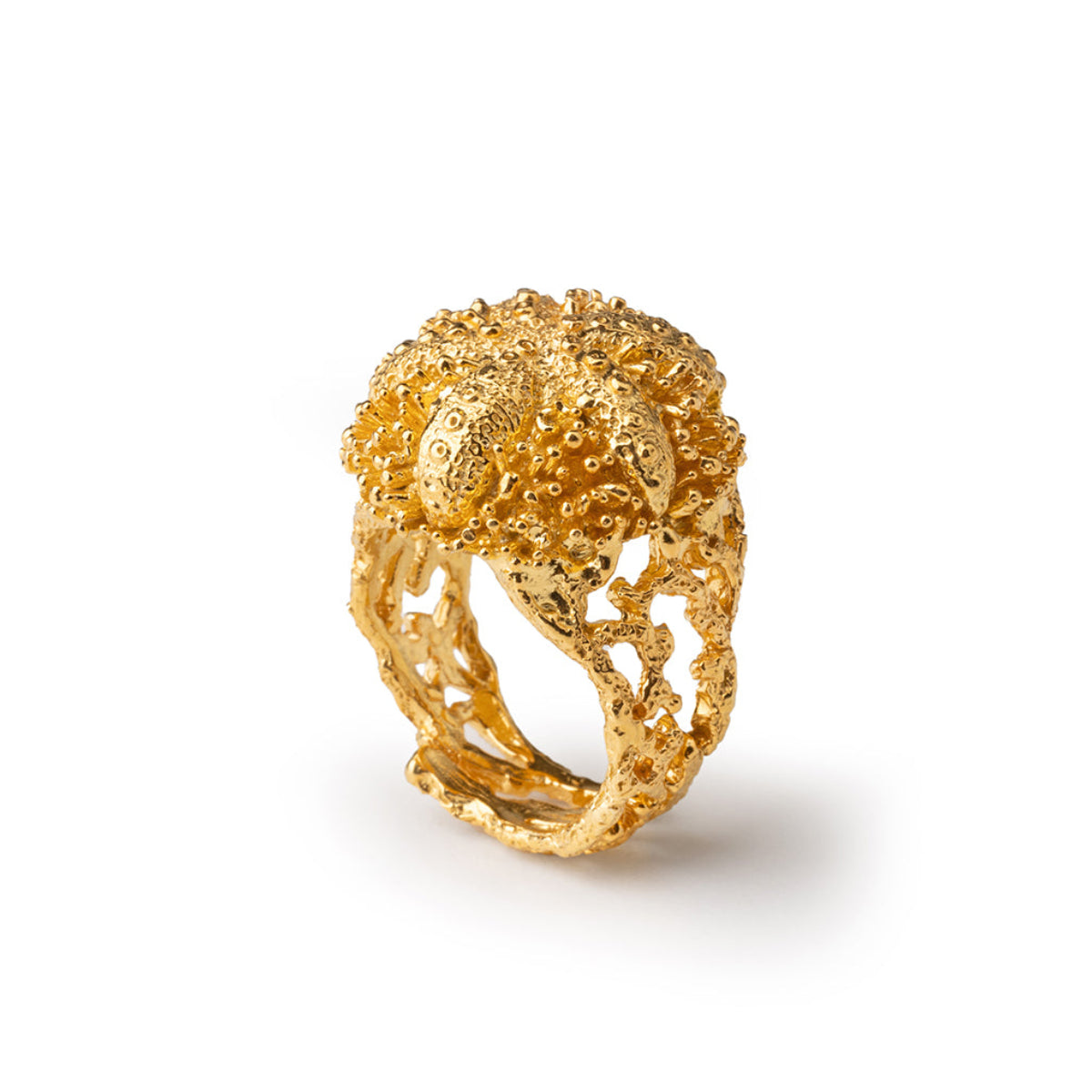 Anello Riccio Aculei Gold