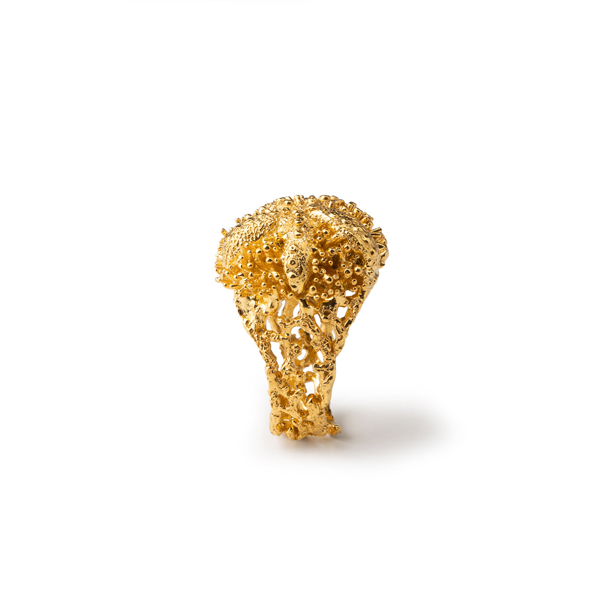 Anello Riccio Aculei Gold