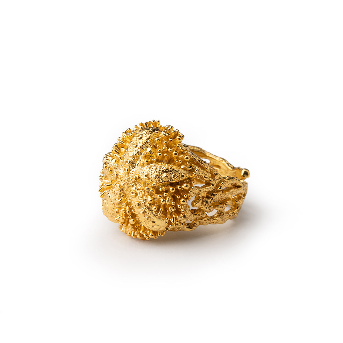 Anello Riccio Aculei Gold