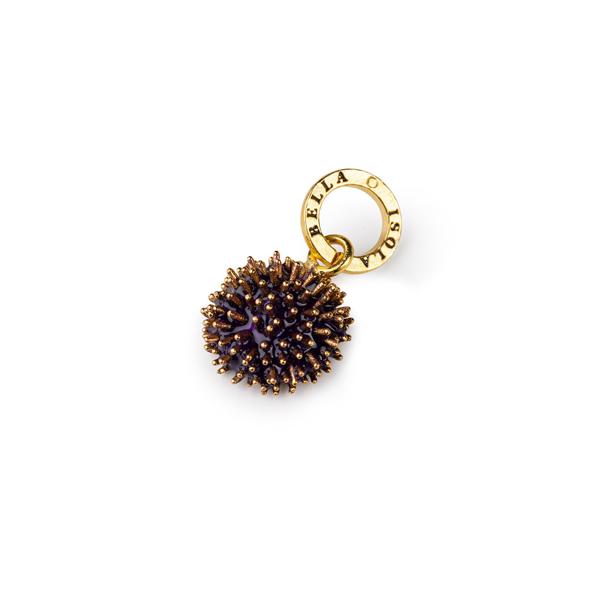 Charm Riccio Aculei