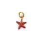 Charm Roter Seestern