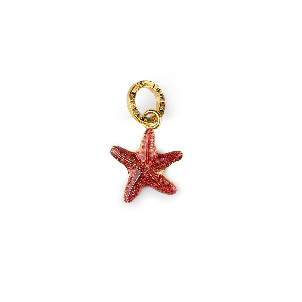 Charm Roter Seestern