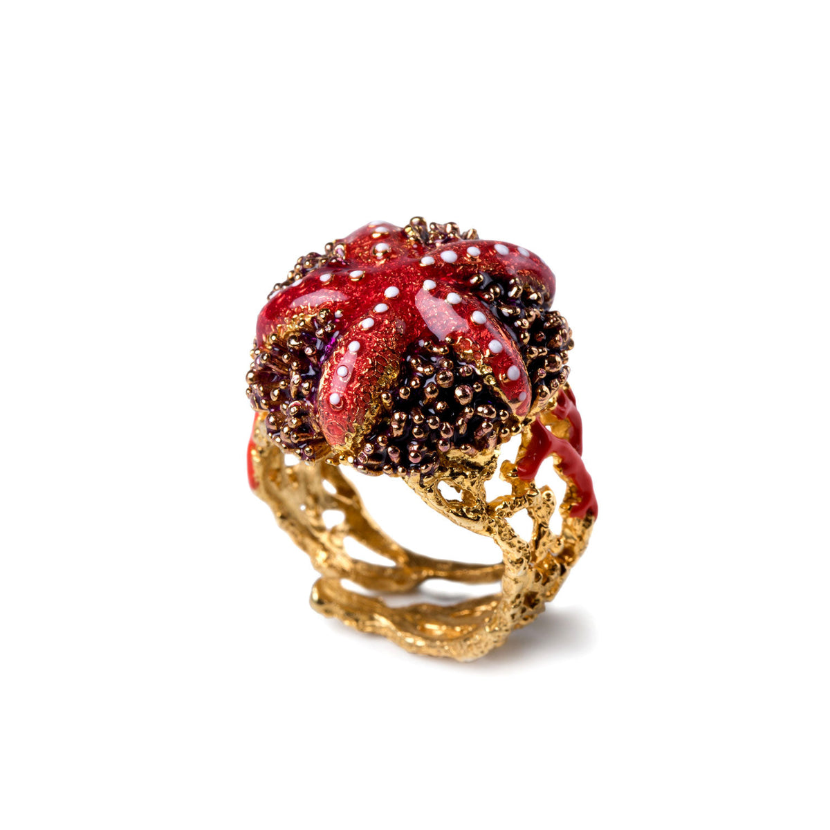 Anello Stella Riccio