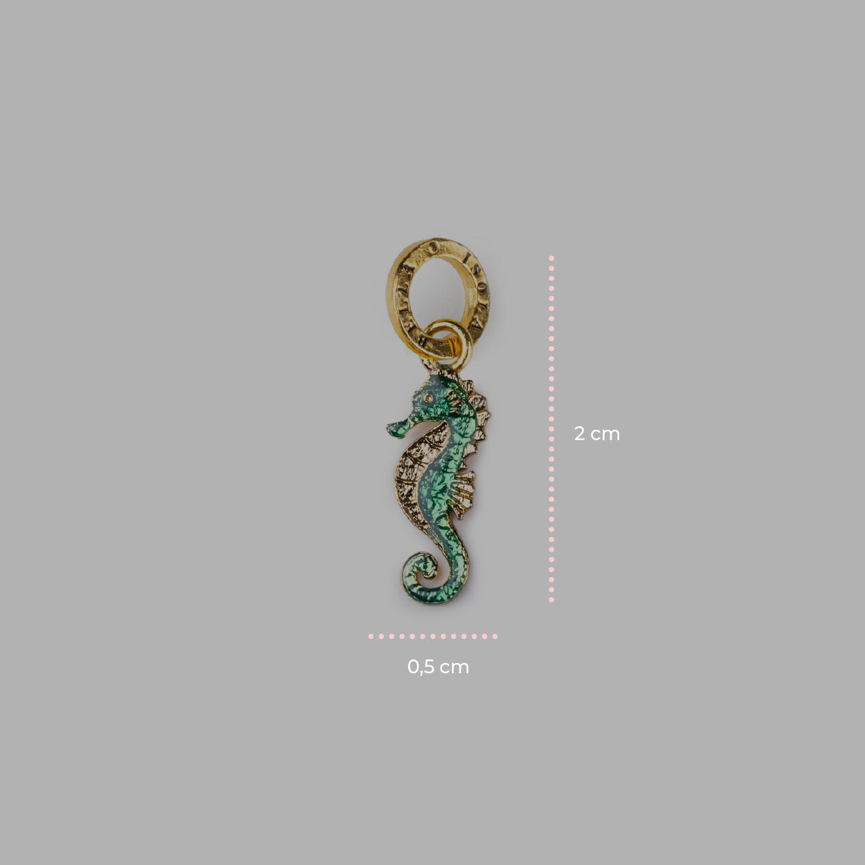 Charm Ippocampo
